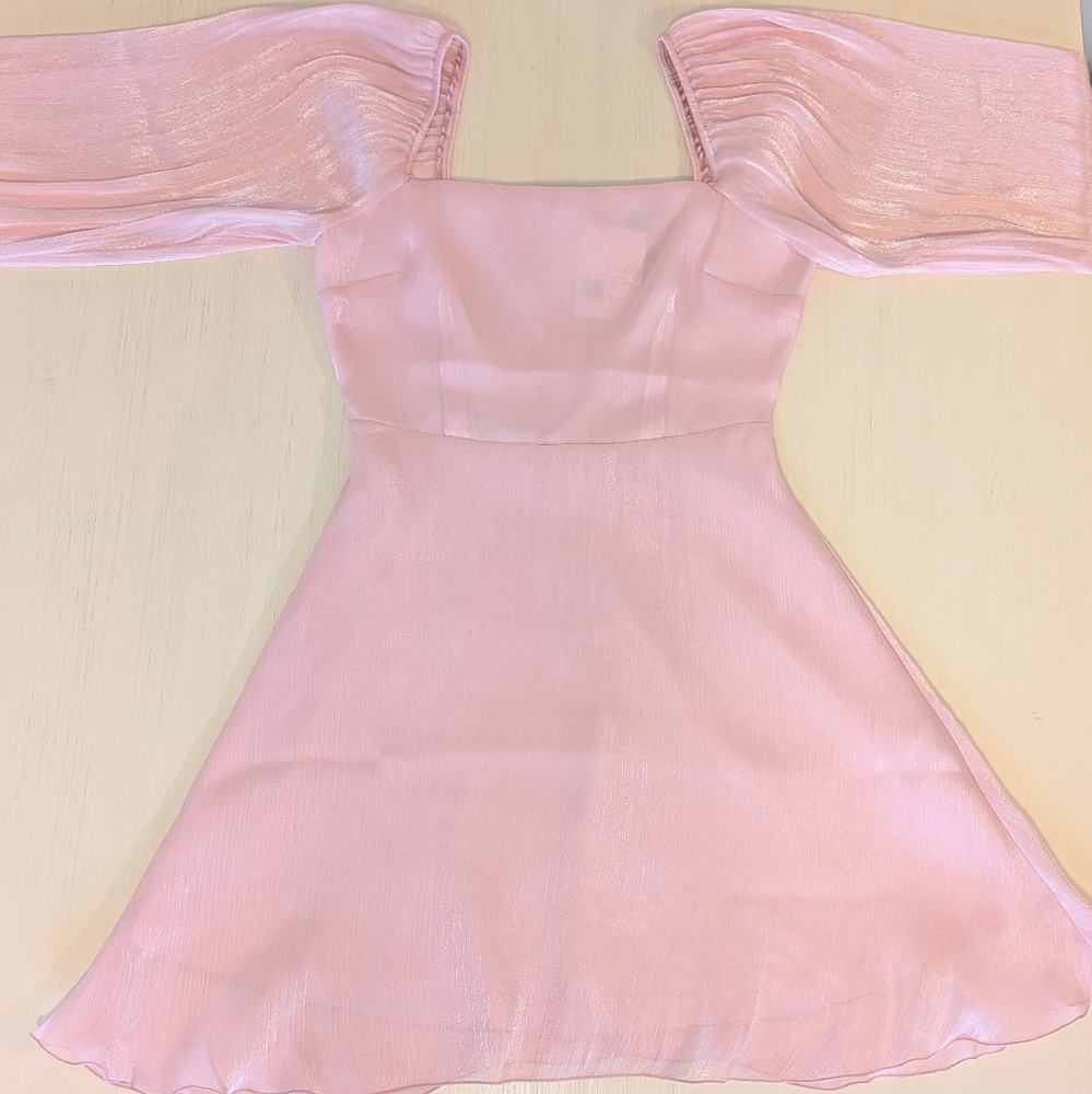 Forever 21 Sparkley Pink Dress